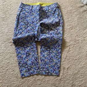 Ann Taylor size 8 side zip ankle pants